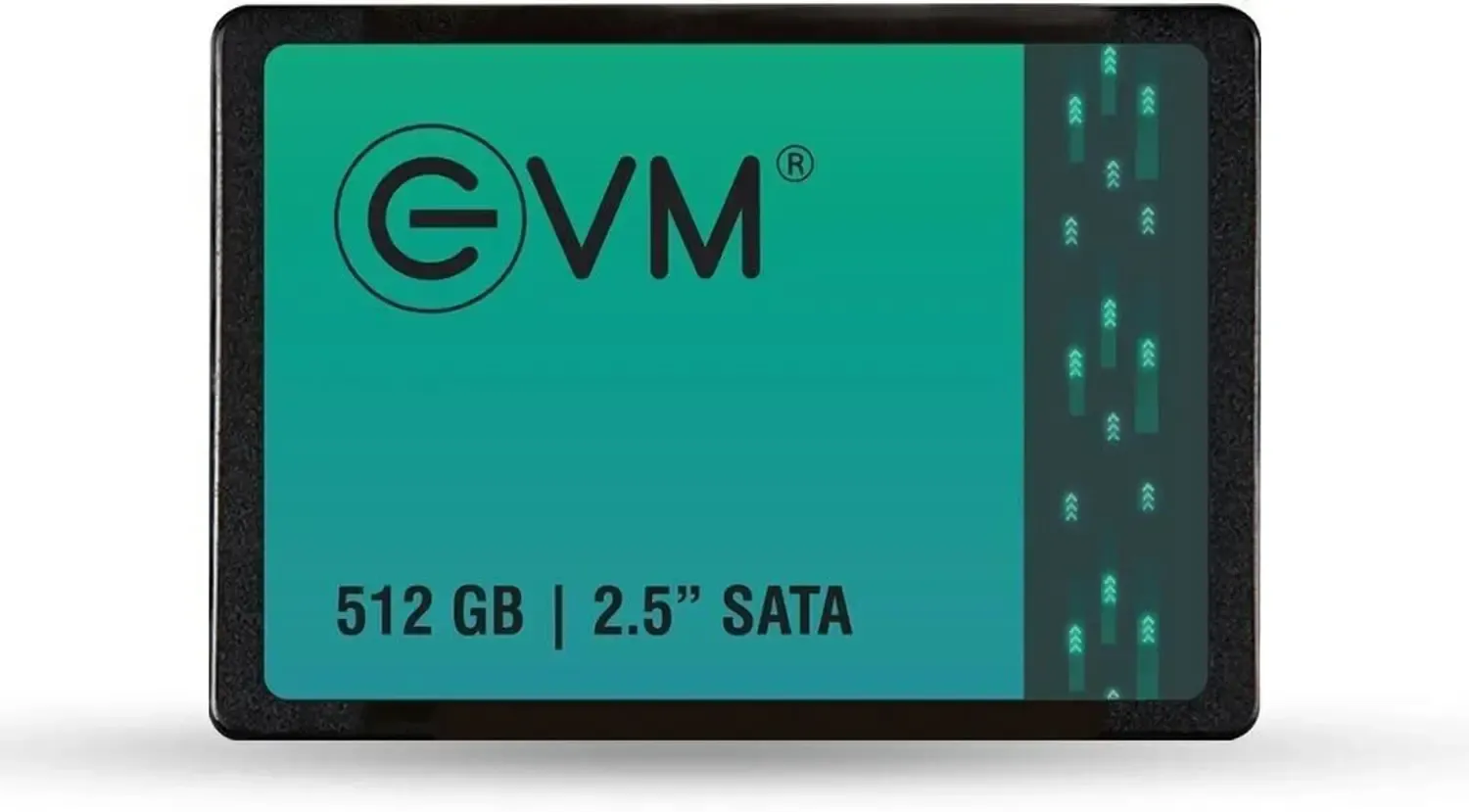 EVM EVM25 512GB