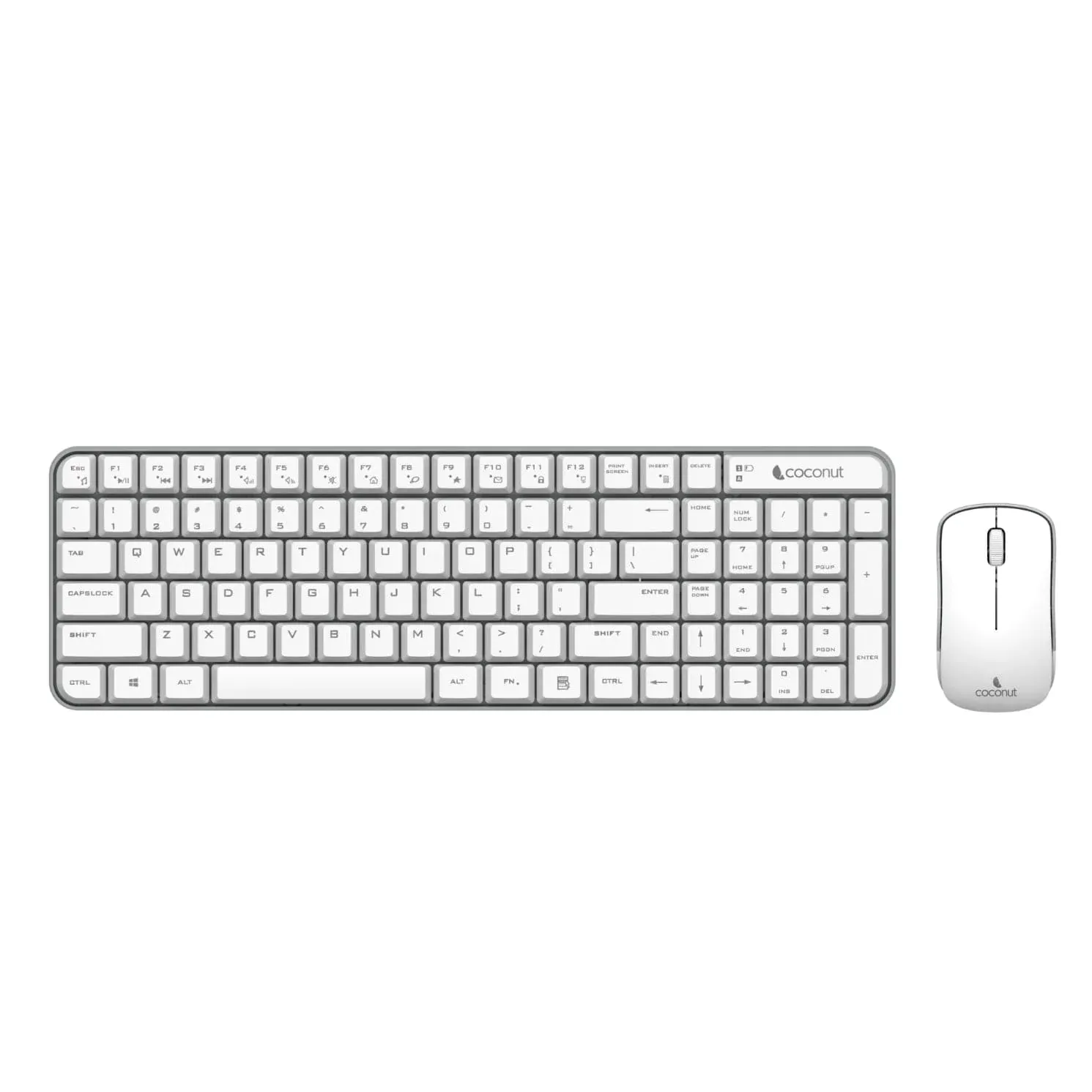 Coconut Desire 2.0 Combo White
